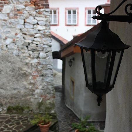 Hotel Pension U Zámku Český Krumlov Exterior foto